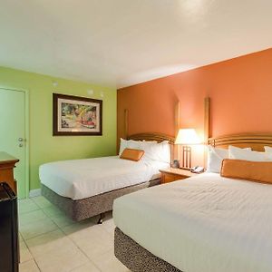 Standard Double Room Two Double Beds